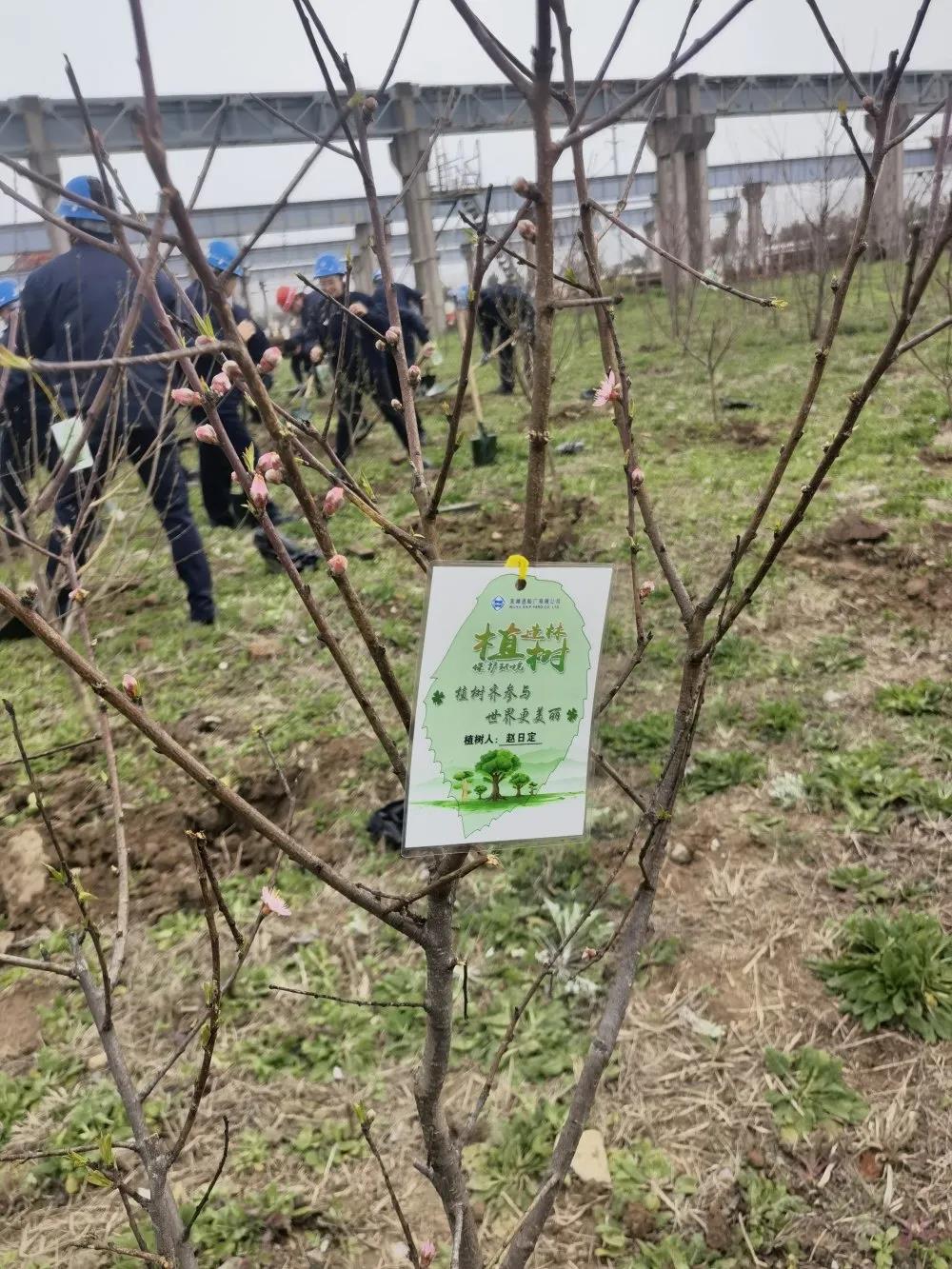 1615691670477279.jpg 1615691670477279.jpg